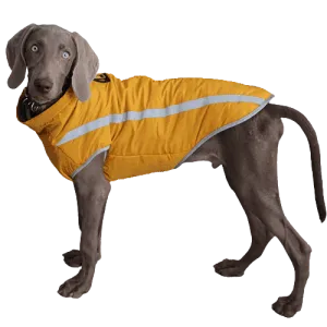 A Plus A Pets Luxurious Rain & Wind Protector Jacket for Dogs (Yellow)